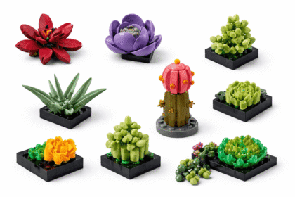 Building block succulent garden set with flowering cactus, aloe plant, and rosette succulents